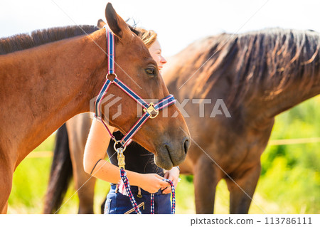 Jockey young girl petting brown horse Jockey young girl petting brown horse 113786111