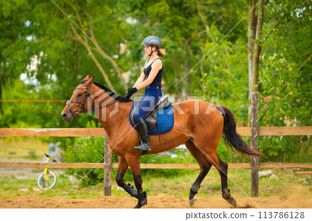 Jockey girl doing horse riding on countryside meadow 113786128