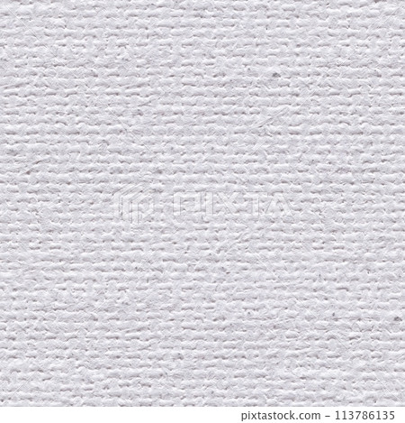 White linen canvas texture for awesome design work. Seamless pattern. White linen canvas texture for awesome design work. Seamless pattern. 113786135
