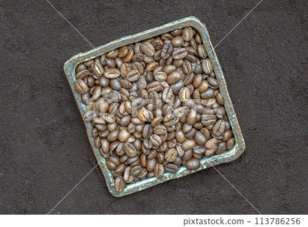 Coffee beans in ceramic square bowl with Coffee powder background. Coffee beans in ceramic square bowl with Coffee powder background. 113786256