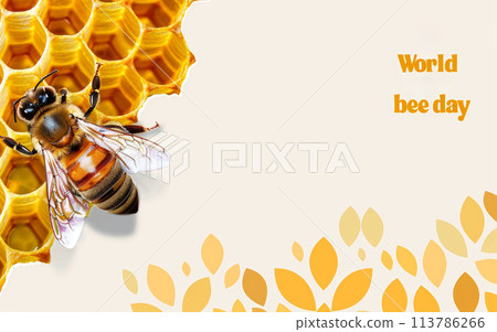A bee perched on a honeycomb, surrounded by hexagonal cells filled with golden honey 113786266