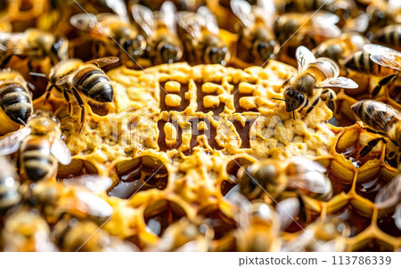 A close-up view of an active colony of honey bees swarming around a honeycomb structure, revealing the intricate patterns and the 'Bee Day' text written in the center. 113786339