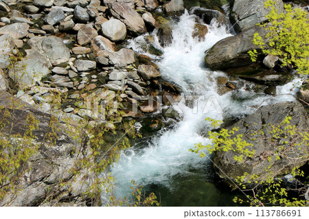 A clear stream flowing through a valley of fresh greenery A clear stream flowing through a valley of fresh greenery 113786691