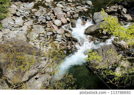 A clear stream flowing through a valley of fresh greenery A clear stream flowing through a valley of fresh greenery 113786692