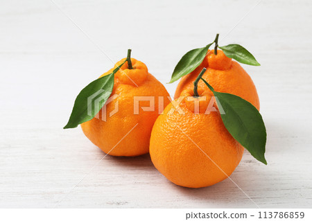 白色桌背上有葉子的 Dekopon 白色桌背上有葉子的 Dekopon 113786859