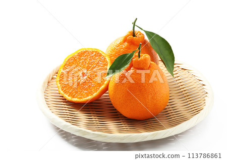 Dekopon with leaves on a white background Dekopon with leaves on a white background 113786861
