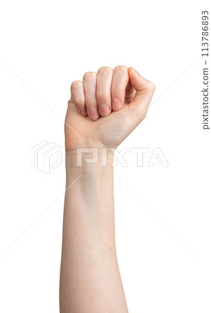 Clenched fingers, fist raised up, hand gesture isolated on white background Clenched fingers, fist raised up, hand gesture isolated on white background 113786893