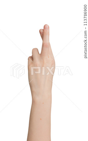 Crossing fingers for luck, hand gesture isolated on white Crossing fingers for luck, hand gesture isolated on white 113786900