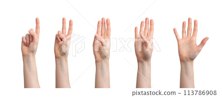 Fingers counting from one to five digits numbers, hand gesture isolated on white background Fingers counting from one to five digits numbers, hand gesture isolated on white background 113786908