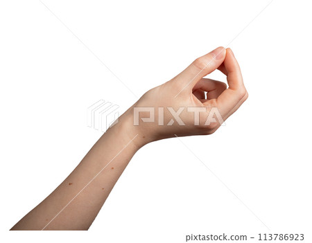 Italian hand gesture isolated on white background 113786923