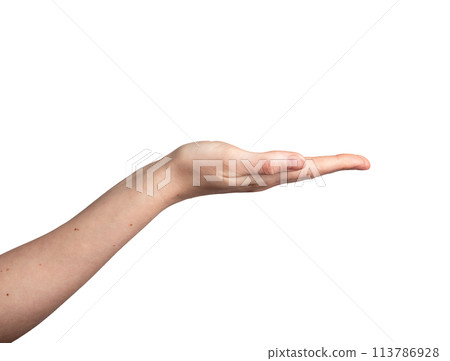 Showing something empty, blank, space on hand palm gesture isolated Showing something empty, blank, space on hand palm gesture isolated 113786928