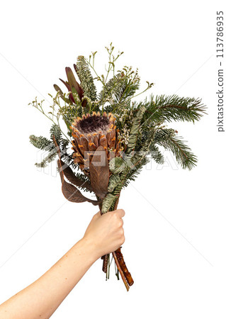 Woman holding winter floral bouquet. Vintage botanical decoration with greenery, pine, and fir. 113786935