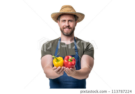 smiling man in apron and hat with sweet pepper vegetable isolated on white smiling man in apron and hat with sweet pepper vegetable isolated on white 113787224