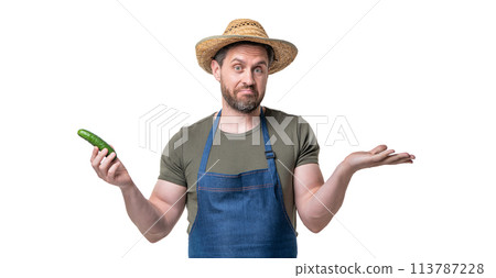 confused man in apron and hat with cucumber vegetable isolated on white confused man in apron and hat with cucumber vegetable isolated on white 113787228