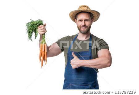 man in apron and hat with carrot vegetable isolated on white. thumb up 113787229