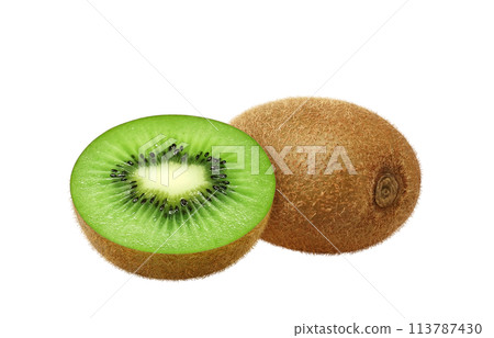 Kiwi fruit illustration realistic 113787430