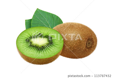 Kiwi fruit illustration realistic Kiwi fruit illustration realistic 113787432