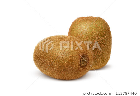 Kiwi fruit illustration realistic 113787440