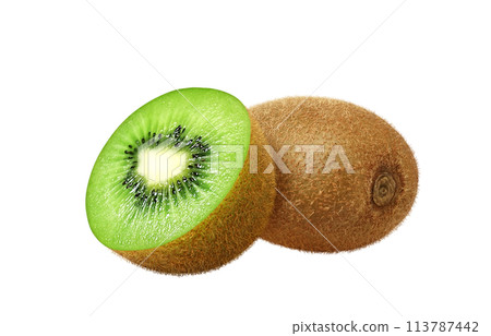 Kiwi fruit illustration realistic 113787442