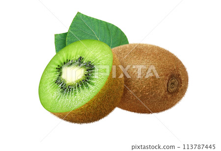 Kiwi fruit illustration realistic 113787445