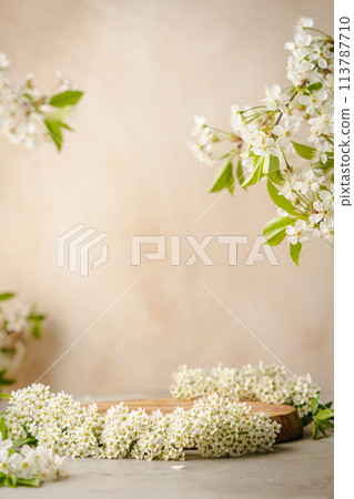 Geometric empty podium 113787710