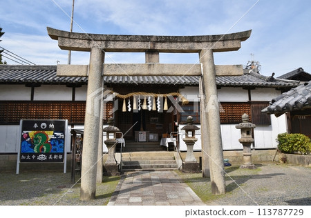 Kada Kasuga Shrine in Spring, Wakayama Kada Kasuga Shrine in Spring, Wakayama 113787729