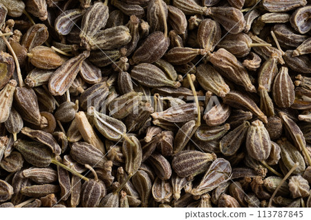 Anise seeds close-up. Macro photography. Anise seeds close-up. Macro photography. 113787845