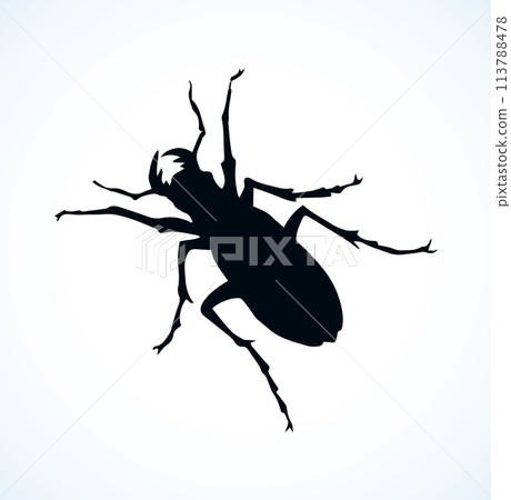 Beetle barbel. Vector drawing 113788478