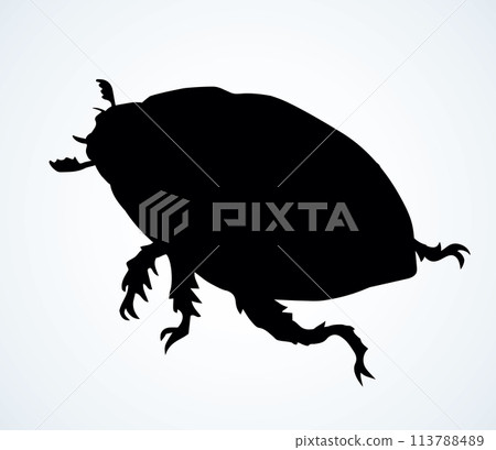 Chafer. Vector drawing of a big beetle Chafer. Vector drawing of a big beetle 113788489