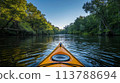 Outdoor sports, kayaking on a calm river, lush green forest background, clear blue sky, mid-action shot 113788694