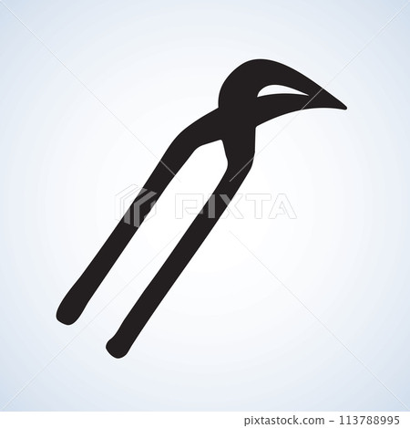 Starfish. Vector drawing 113788995