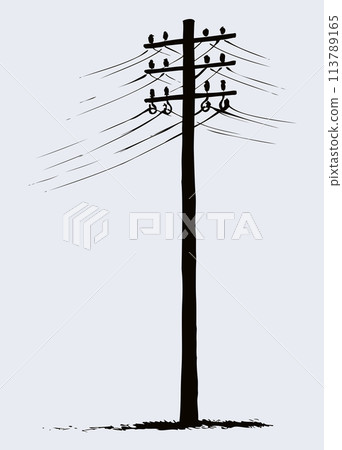 Old wooden power pole 113789165
