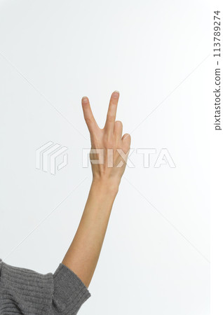 Female hand showing peace sign or victory sign. Female hand showing peace sign or victory sign. 113789274