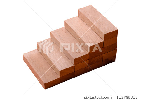 Conceptual composition of wooden steps with coins, model of a house 113789313