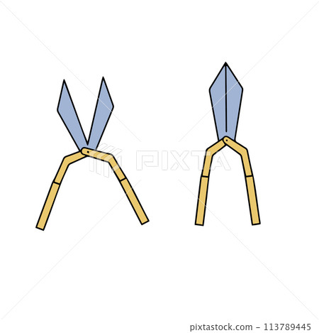 Pruning scissors icon, gardening shears, secateurs or secateurs vector illustration, gardening scissors, branch pruning. Vector illustration in doodle style 113789445