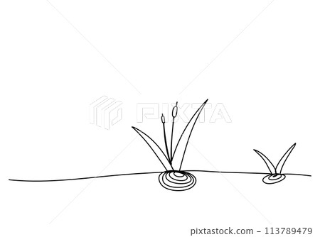 Reed or marsh hornwort, one line drawing vector illustration. Reed or marsh hornwort, one line drawing vector illustration. 113789479
