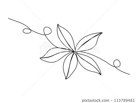 Flower. One line drawing vector illustration. Flower. One line drawing vector illustration. 113789481