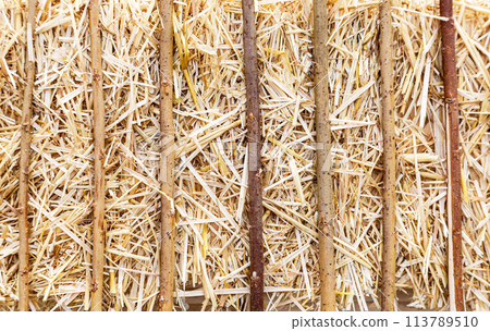 Abstract natural background of straw and branches Abstract natural background of straw and branches 113789510