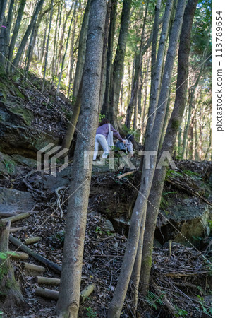 東海山登山道 東海山登山道 113789654