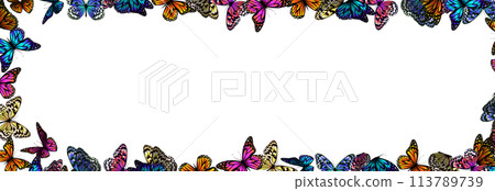 Background frame with butterflies. hand drawing. Not AI, Vector illustration 113789739