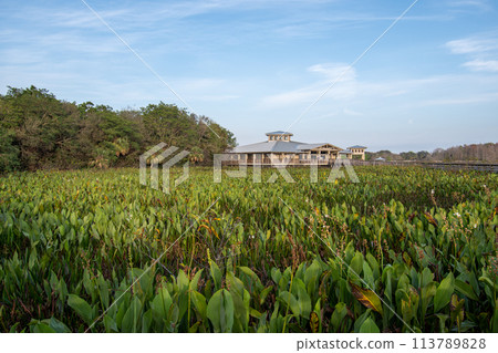 Constructed wetlands of Green Cay Nature Center at sunrise. 113789828