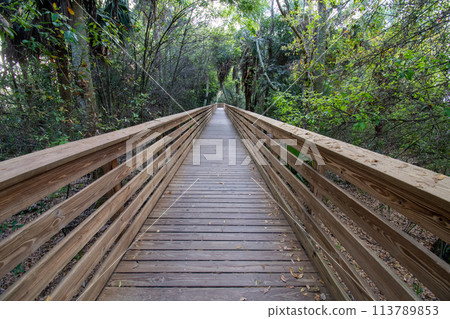 Boardwalk over constructed wetlands of Green Cay Nature Center in Boynton Beach. 113789853