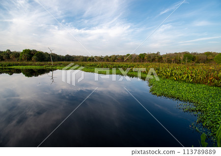 Constructed wetlands of Green Cay Nature Center at sunrise. 113789889
