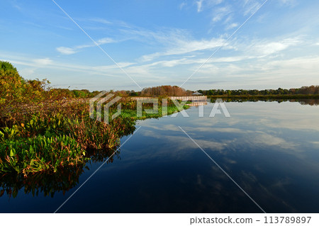 Boardwalk and sunrise cloudscape over wetlands of Green Cay Nature Center. 113789897