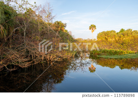 Constructed wetlands of Green Cay Nature Center at sunrise. 113789898