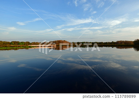 Boardwalk and sunrise cloudscape over wetlands of Green Cay Nature Center. 113789899