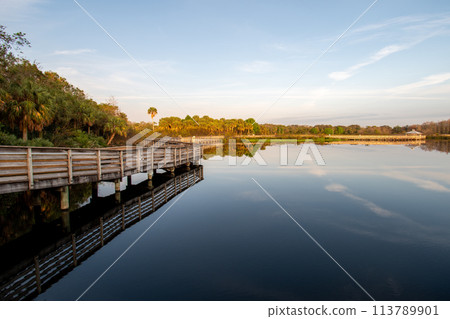 Boardwalk and sunrise cloudscape over wetlands of Green Cay Nature Center. 113789901
