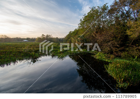 Constructed wetlands of Green Cay Nature Center at sunrise. 113789905