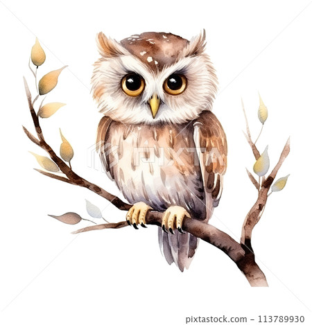 Owl Perched on Branch Watercolor 113789930