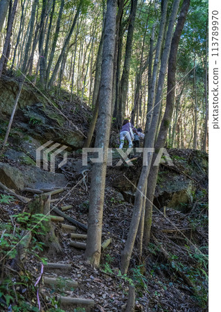 富山登山道 113789970